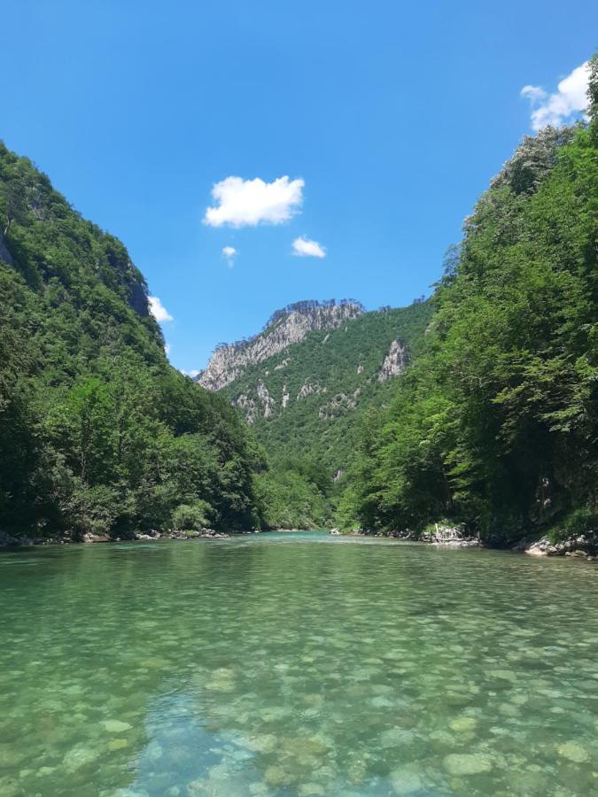 Rafting Camp Apartments Montenegro Goran Lekovic Žabljak Exterior foto